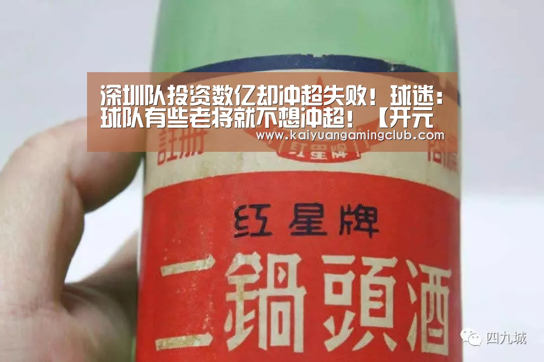 深圳队投资数亿却冲超失败!球迷:球队有些老将就不想冲超!【开元下载】(图1) 开元直播