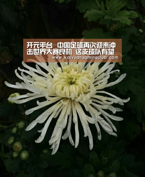 开元平台-中国足球再次迎来冲击世界大赛良机 这支球队有望亮相世青赛(图2) 开元下载