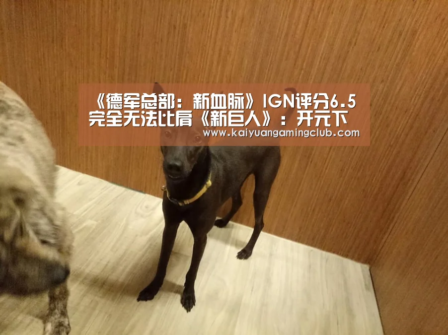 《德军总部:新血脉》IGN评分6.5 完全无法比肩《新巨人》:开元下载(图2) 开元平台