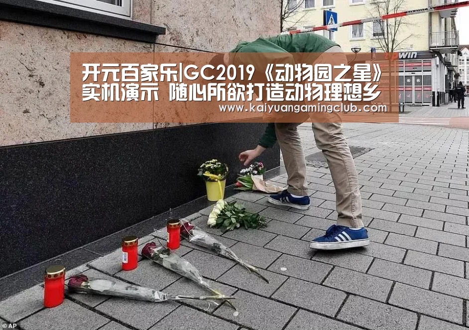 开元百家乐